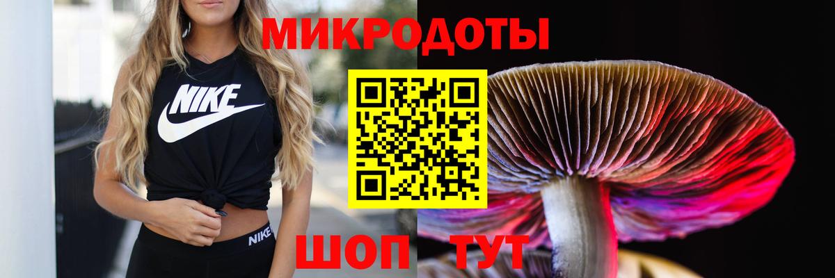 Псилоцибиновые грибы MAGIC MUSHROOMS Сосновый Бор
